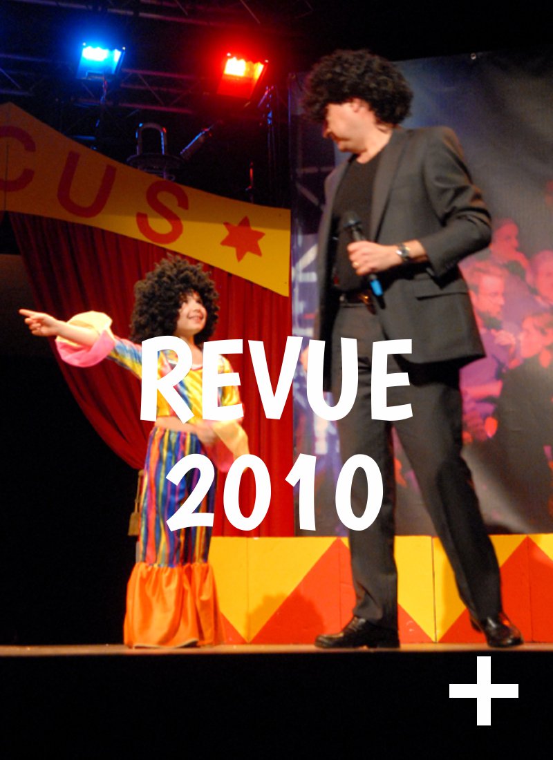 Album photo, revue 2010