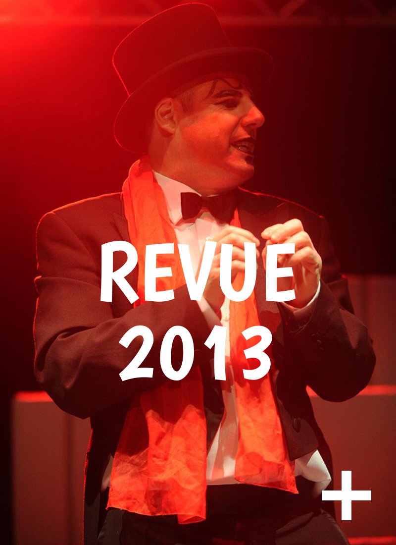 Album photo, revue 2013